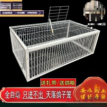 ����\����ֻ�M�������ӻ\����ץ���\����\����ȫ�Ԅ�������̫��