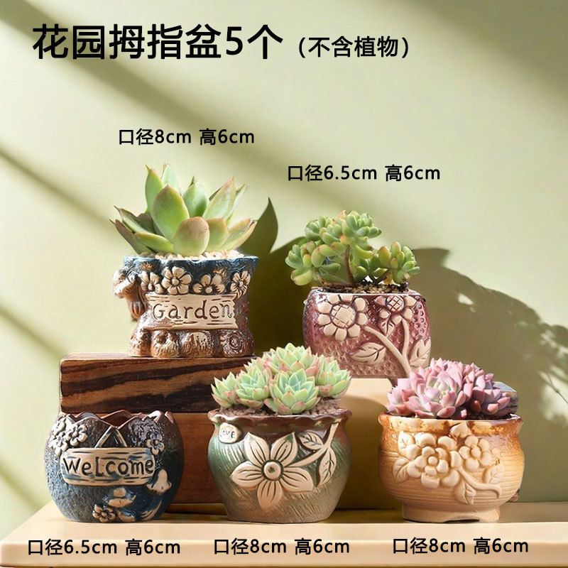 Lavabo pequeño con control de raíz de dos colores, maceta de cerámica suculentas, maceta de arcilla especial para carne doméstica, venta directa de fábrica al por mayor