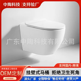 普通马桶;其他卫浴洁具;蹲便器