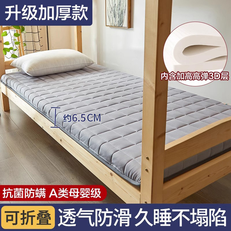 그레이 [고탄력 3D 진드기방지] 6.5cm