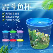 ���l���~������С��͸������ˮĸ���A�����ώ��w���~�ײ�ɫ���~��