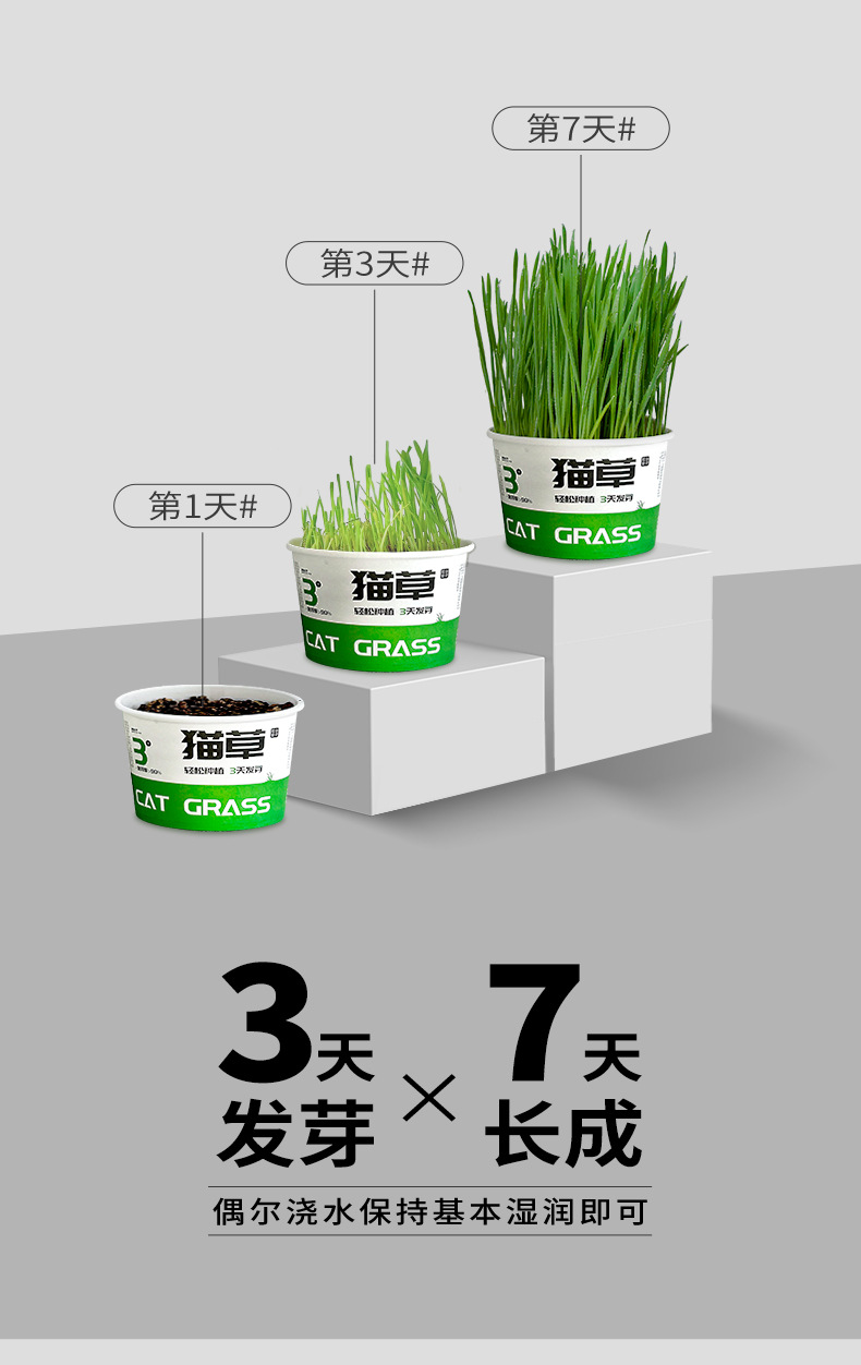 新猫草详情_06.jpg