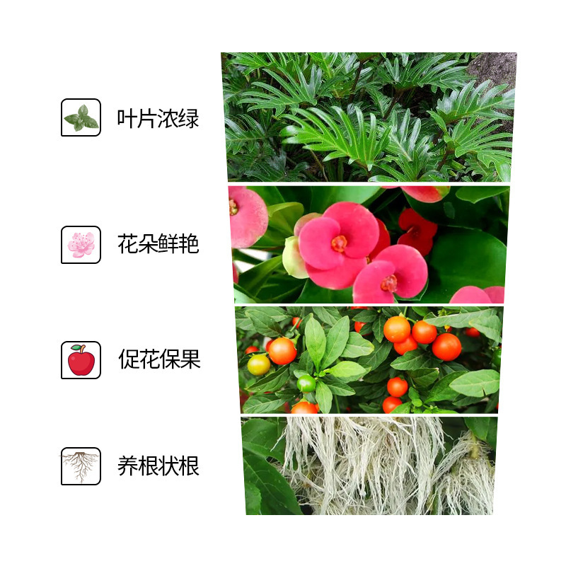 家庭安全無臭園芸肥料羊糞鶏糞牛糞肥料|undefined