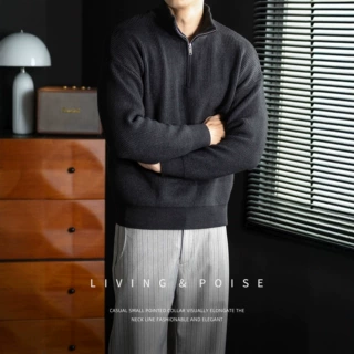 暖冬老钱肌理半拉链立领毛衣男士轻熟简约百搭秋冬保暖厚实针织衫