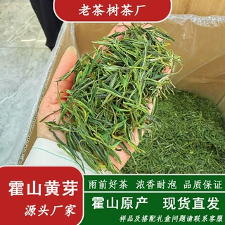 2026年新茶黄芽浓香耐泡口粮款250克袋装办公室棋牌室均可