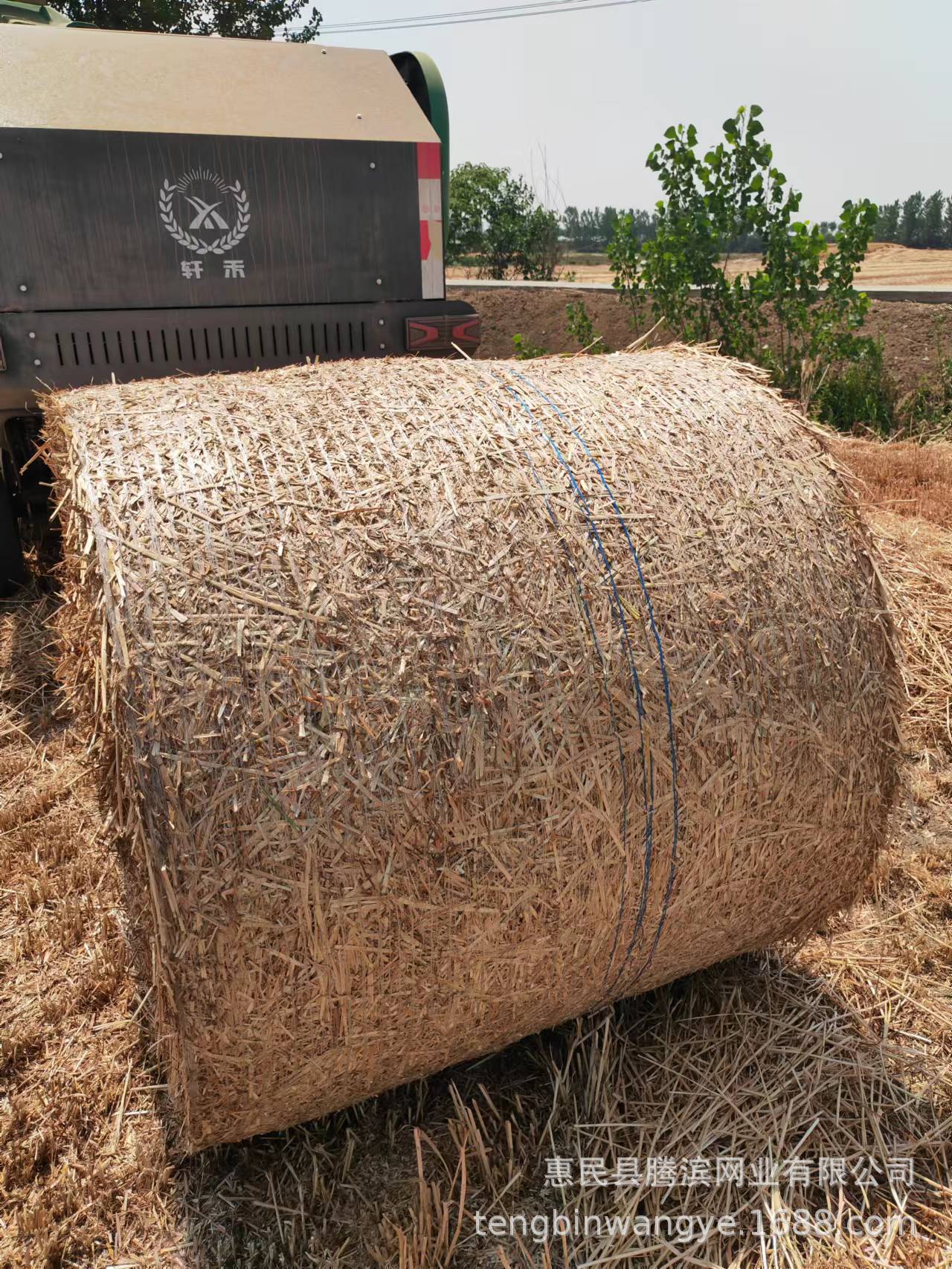 b8aef9709be10cbdf33d8200cad8b4