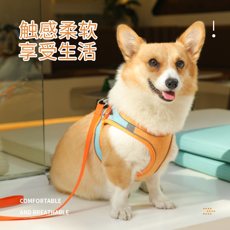 Correa de perro transfronteriza chaleco correa de pecho para mascotas anti-rotura reflexivo perro caminando cuerda gato suministros al por mayor