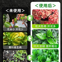 ��ľ�ҷ����r�Ҽ��ЙC���׷ʵ���̼���l�I�B����Ȼ����������