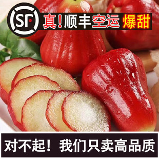 ����S���\�����ں������r�ڽ���ɏ�F������ɽ�Fժ��Ů������Y��
