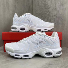 ���＃ԭ�羳TN������|����ЬMax plus�͹ž���W���L��H�\��Ь