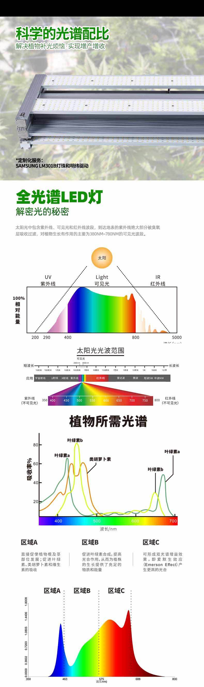 详情页_09.jpg