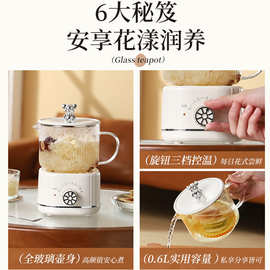 先科养生壶家用多功能煮茶壶办公室电水壶 煮花茶器 商务礼品批发