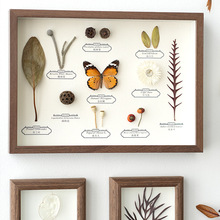 �����˱�����Ʒ��ˇɭϵ�[̨����ɻ�����DIY