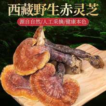 I21 Ұ`֥؛֥߅`֥֦`֥Ǻ`֥