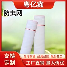 尼龙农业果树防蚊网防虫网 聚乙烯拦鸟网养殖农用加厚防蝇网