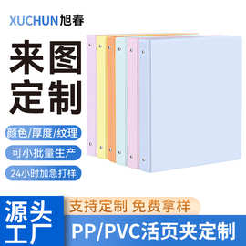 外贸跨境PP塑料文件夹定制logo印刷A4三孔活页pvc办公资料收纳夹