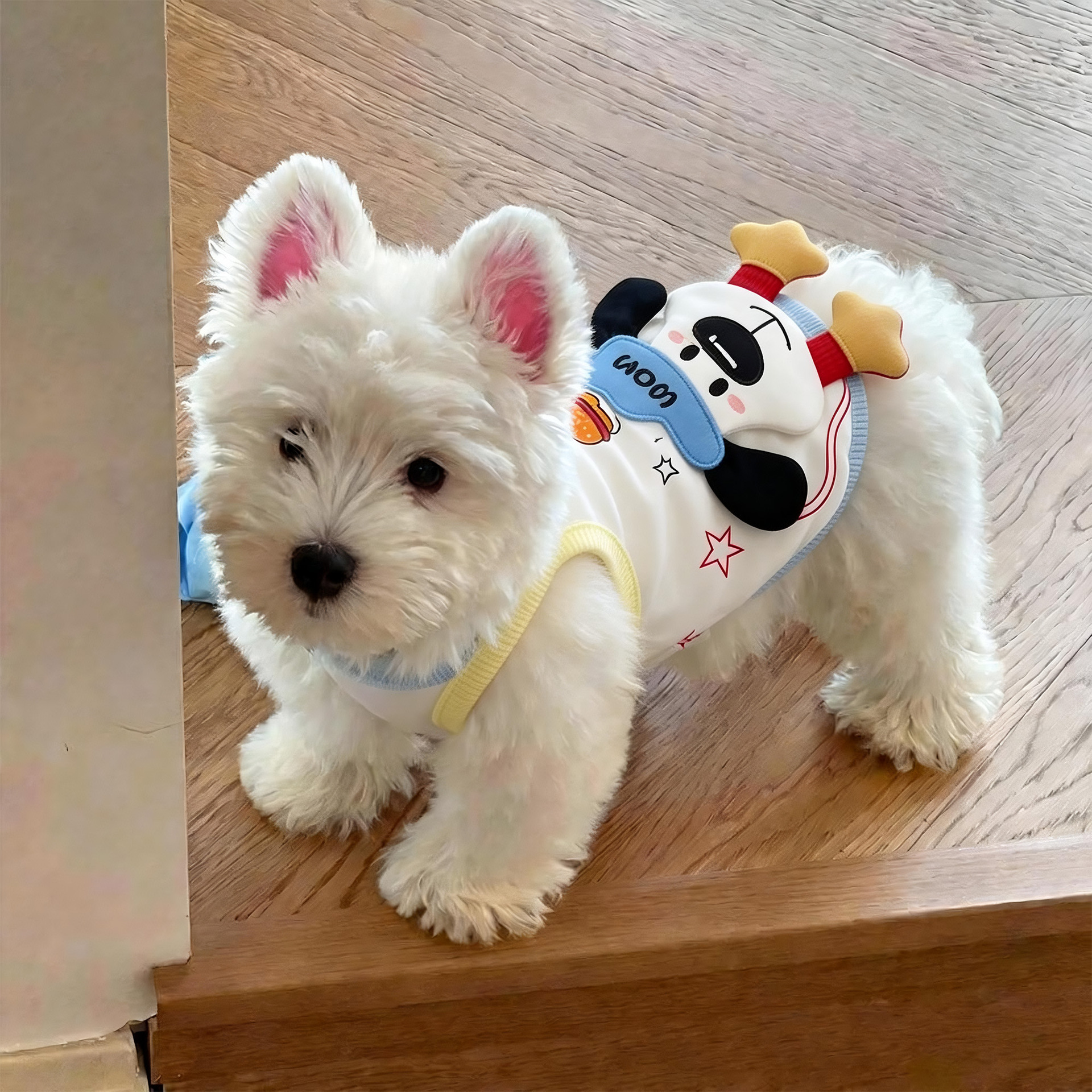 큰 얼굴 강아지 조끼 흰색