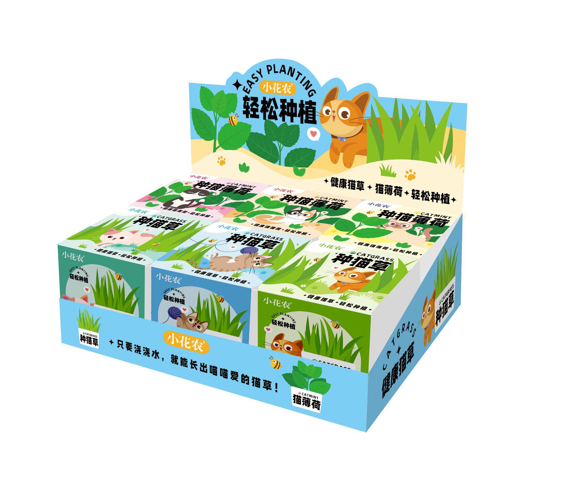 대형 흰색 화분에 고양이풀을 쉽게 심을 수 있습니다. 6가지 혼합 패키지. 6개 무료 디스플레이 상자 [단일 가격]