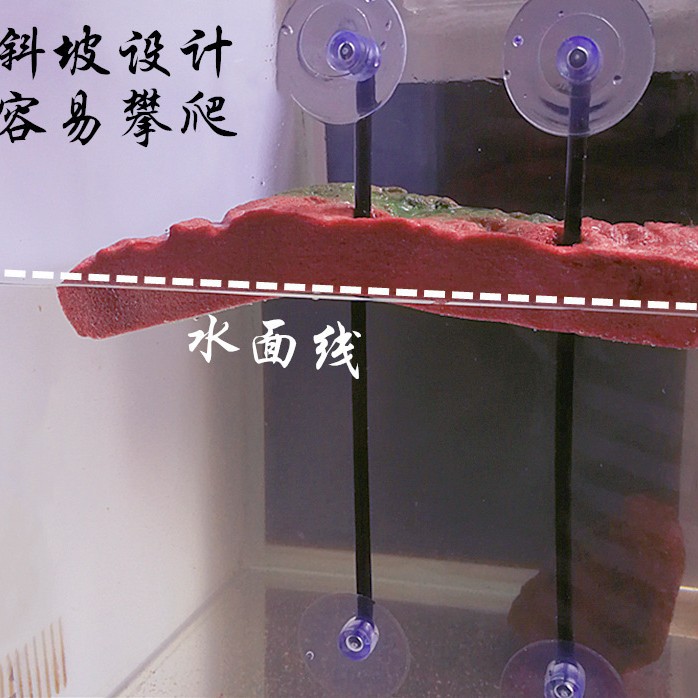 Mascotas trepadoras Tortuga mascota Secadora de espalda Plataforma de rocalla Terraza Pecera Tortuga de agua Escalada Tortuga Isla flotante Elevación Plataforma de escalada de flotador grande