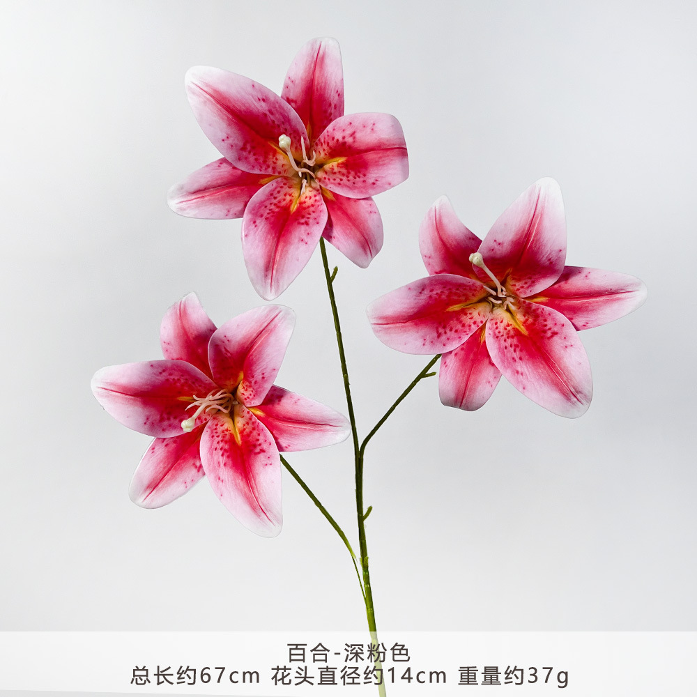 YM2-ลิลลี่-ชมพูเข้ม