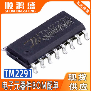 ԭ�b TM2291 ���bSOP-16 �t�������̖̎��ICоƬ ����BISS0001