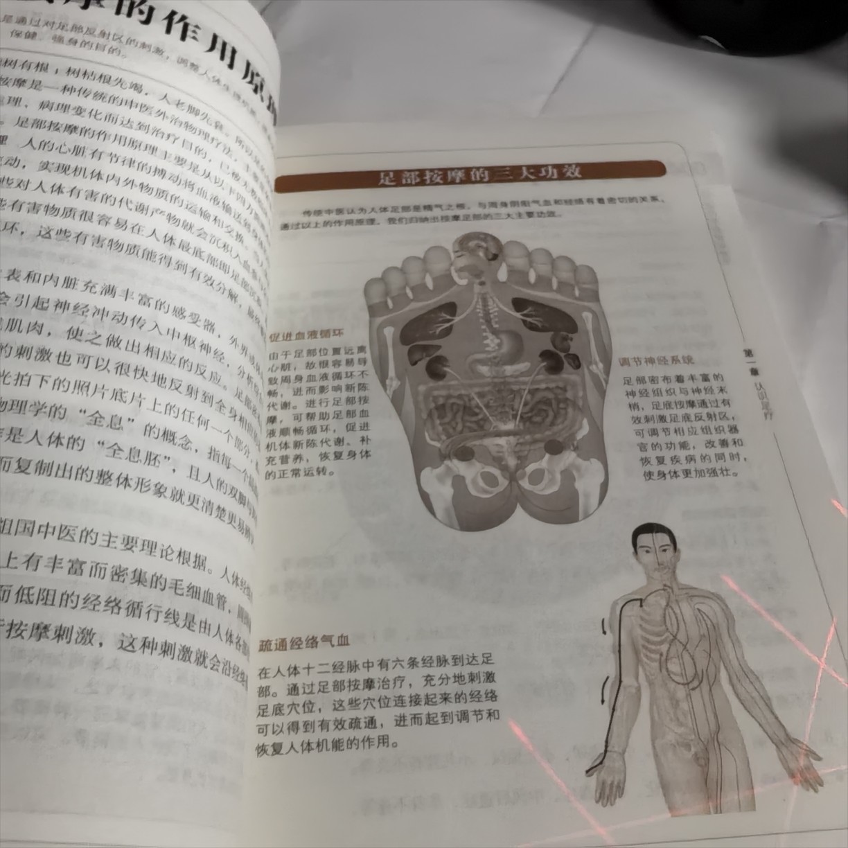 Complete Guide to Foot Therapy and Symptomatic Health Care