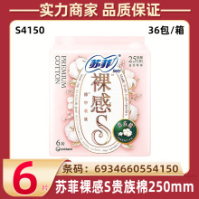 �շ������������������S����250mm����6Ƭ���������׷�Ů������