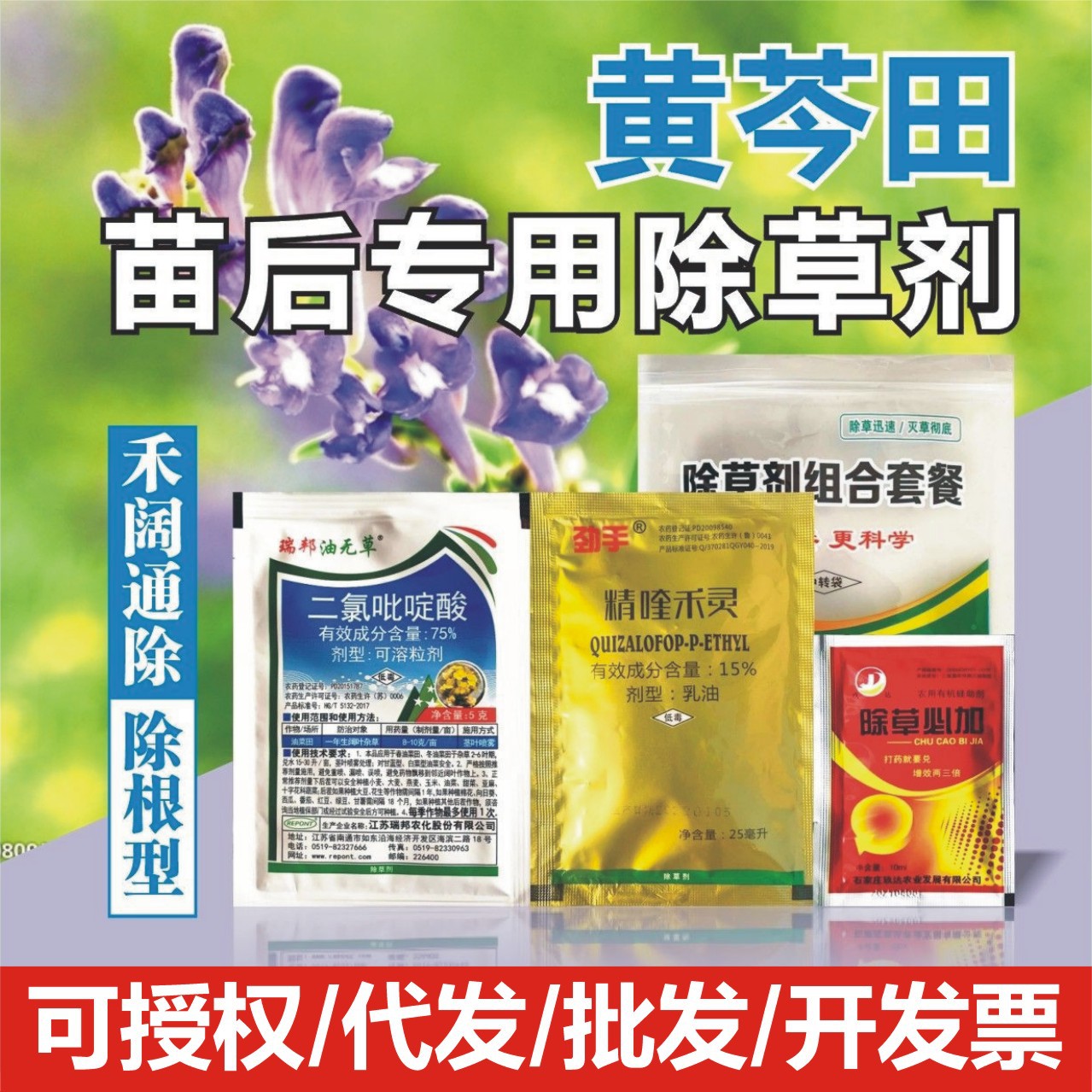 黄芩除草剂黄芩苗后专用除草剂刺儿菜茵陈草蒿草禾阔通黄芩杀草剂