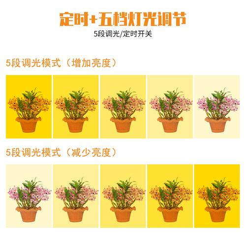 Qianrun Lighting LED Angel Ring Plant Growth Light Indoor Full Spectrum Succulent Supplement Light Smart Timer