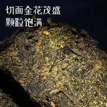 厂家批发湖南安化黑茶天尖金花茯砖茶茯苓手筑工厂代发安华茶叶