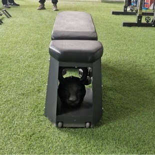 Factory Direct Adjustable Storage Dumbbell Bench Multifunctional Combination Integrated Fitness Chair Dumbbell Bench