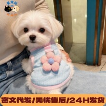 【618】宠物立体花朵背心代发猫咪衣服透气可爱防掉毛小型狗衣服