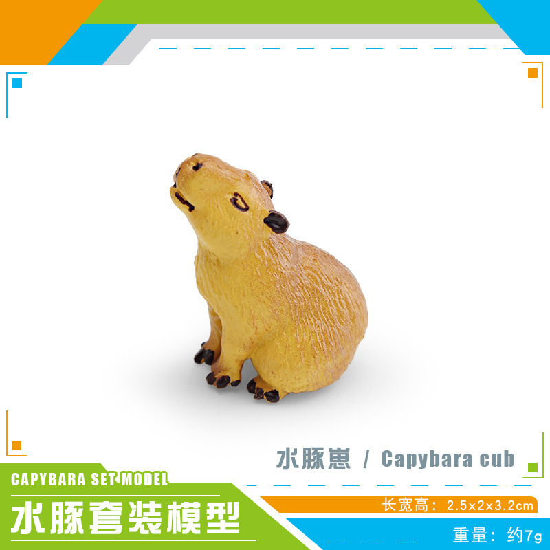 Simulación transfronteriza de animales forestales modelo de delfín de agua cognitivo infantil delfín de agua decoración de plástico estático juguete de decoración de mesa