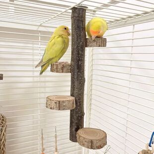 ���Pĵ���W�^�B��Ϣľ��ľ����������D��֦վ��ľ�|վ�Uվ̨�M��