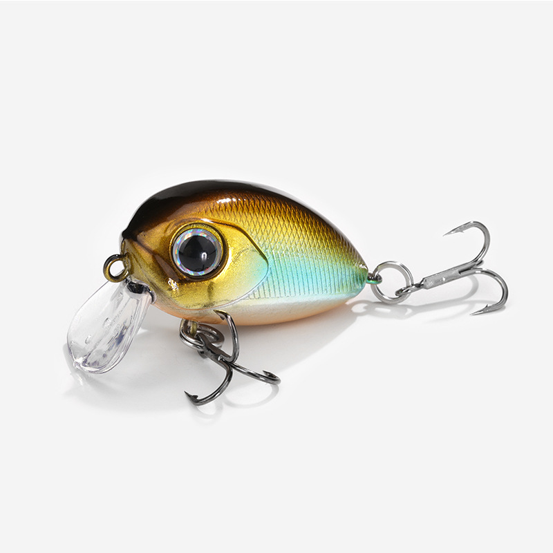 #컬러-8 커피백 골드, 옆면 블루 바디