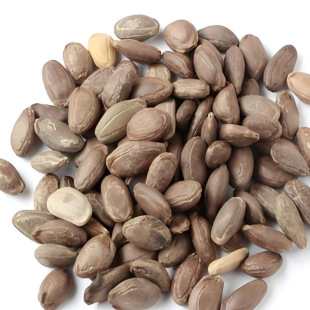 ���l���V�ʹ��V�ӹ���r���|؛Դ�gӭ�xُ