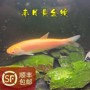 ��Ŀ����ˮ��S���]��ˮ�Bֳԭ��׃���S�����]�^�p�t�۽���~