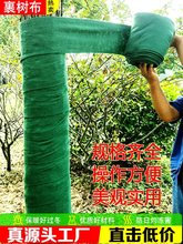 ���䲼���䲼��ľ��ů�辰����ֲ��G������p�@�����o�����l