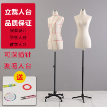 ��̨���w�ü�Ů���b�OӋģ�ؿɲ�ᘌW���̌W���ÿp����ģ�ؼ�