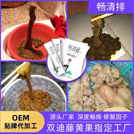 蛋白粉氨基酸;微生物发酵;代餐粉