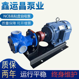 NCB转泵 内啮合齿轮泵乳胶漆输送泵 小流量高粘度输送泵 厂家直销
