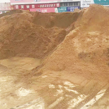 水洗沙干净无泥土 建筑工程混凝土砂浆工程浇筑砌用中沙厂家批发