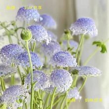 �Ӽ��b��r����������ֱ�l���]������ˮ�B�r��һ�����]�羳