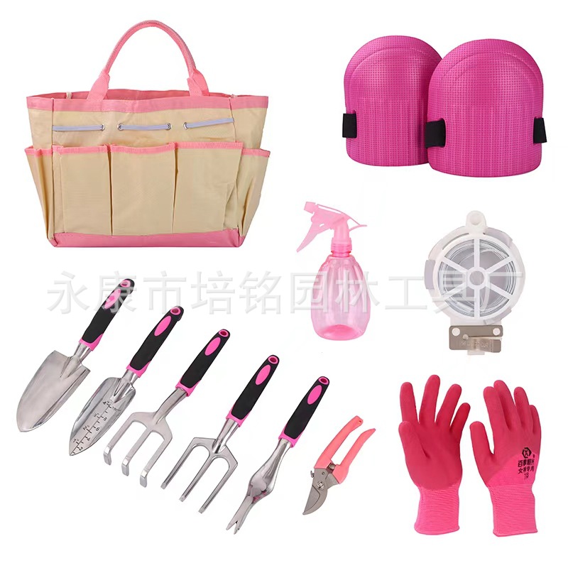 Conjunto de 11 piezas