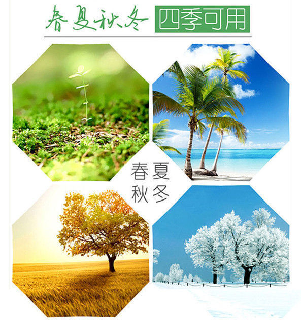 3674ba3d-2cb7-4e8d-9b55-16de10ae869e.jpe