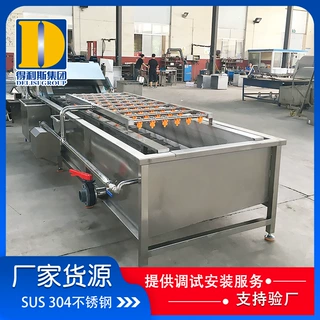 根茎类蔬菜去皮清洗机，蔬菜清洗灭菌成套设备