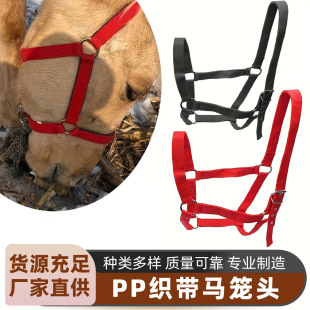 �羳���I�R�g�R�\�^�R�\�^�R���^���{���OӋ�R��PP�����R�\�^