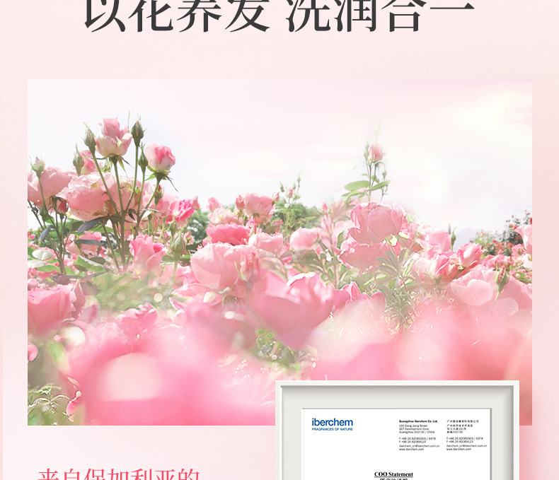 520亮泽植萃详情-通版终版_10