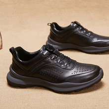 �Ԅ�Ь������ʿ�\�����eƤЬ2026�����¿���Ƥ�U��͸����Ь�����l