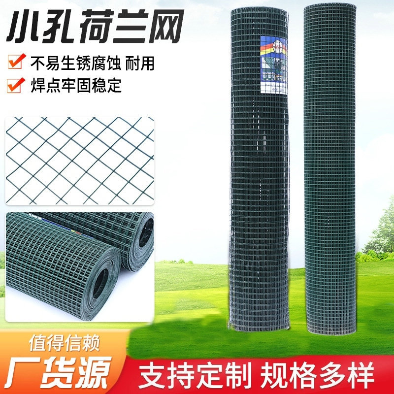 源头工厂小孔荷兰网 2.5*2.5cm网孔绿色加密围栏小孔养殖护栏网